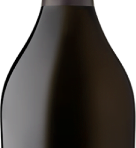Ruggeri Saltér Prosecco Valdobbiadene DOC Extra Brut 0