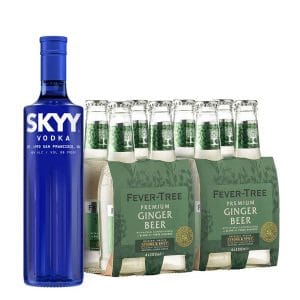 Obrázek produktu Skyy Vodka & Ginger Beer 40